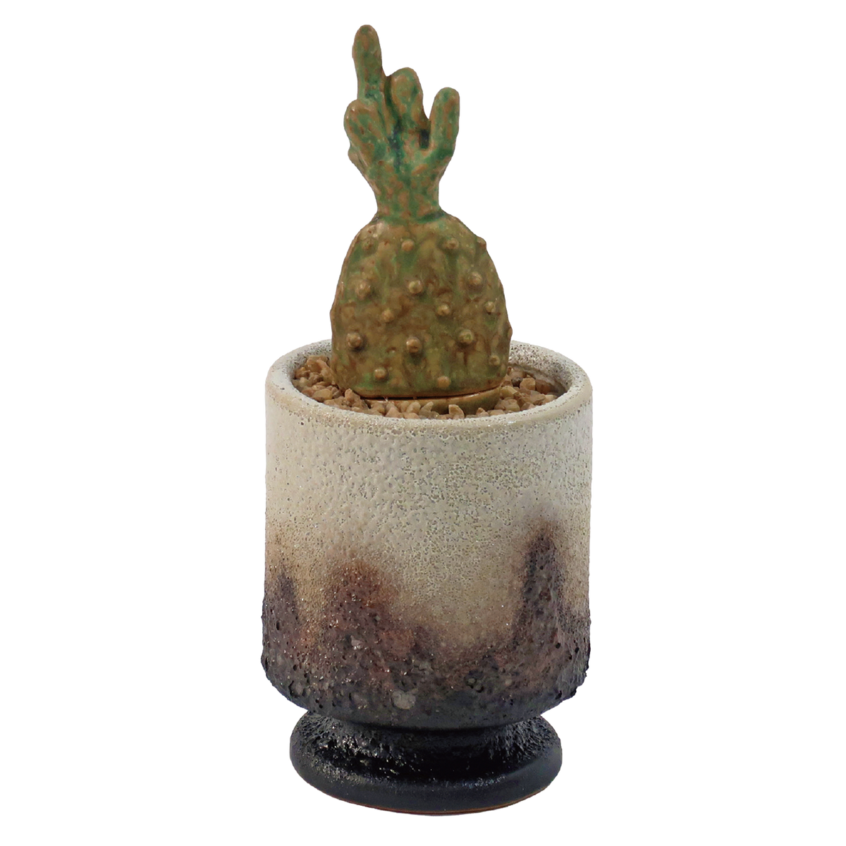 THE CACTI POT